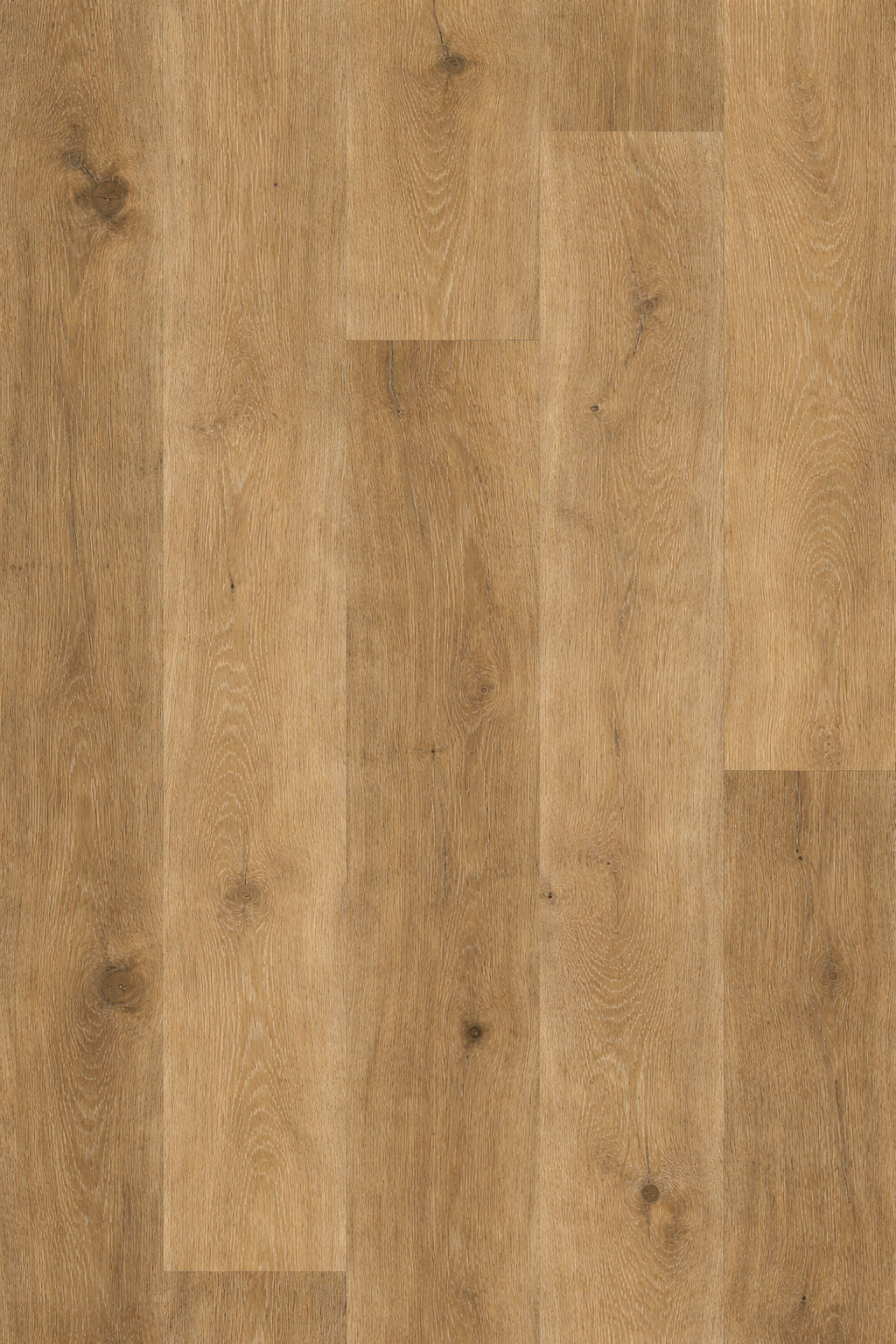 European White Oak (AD-09)