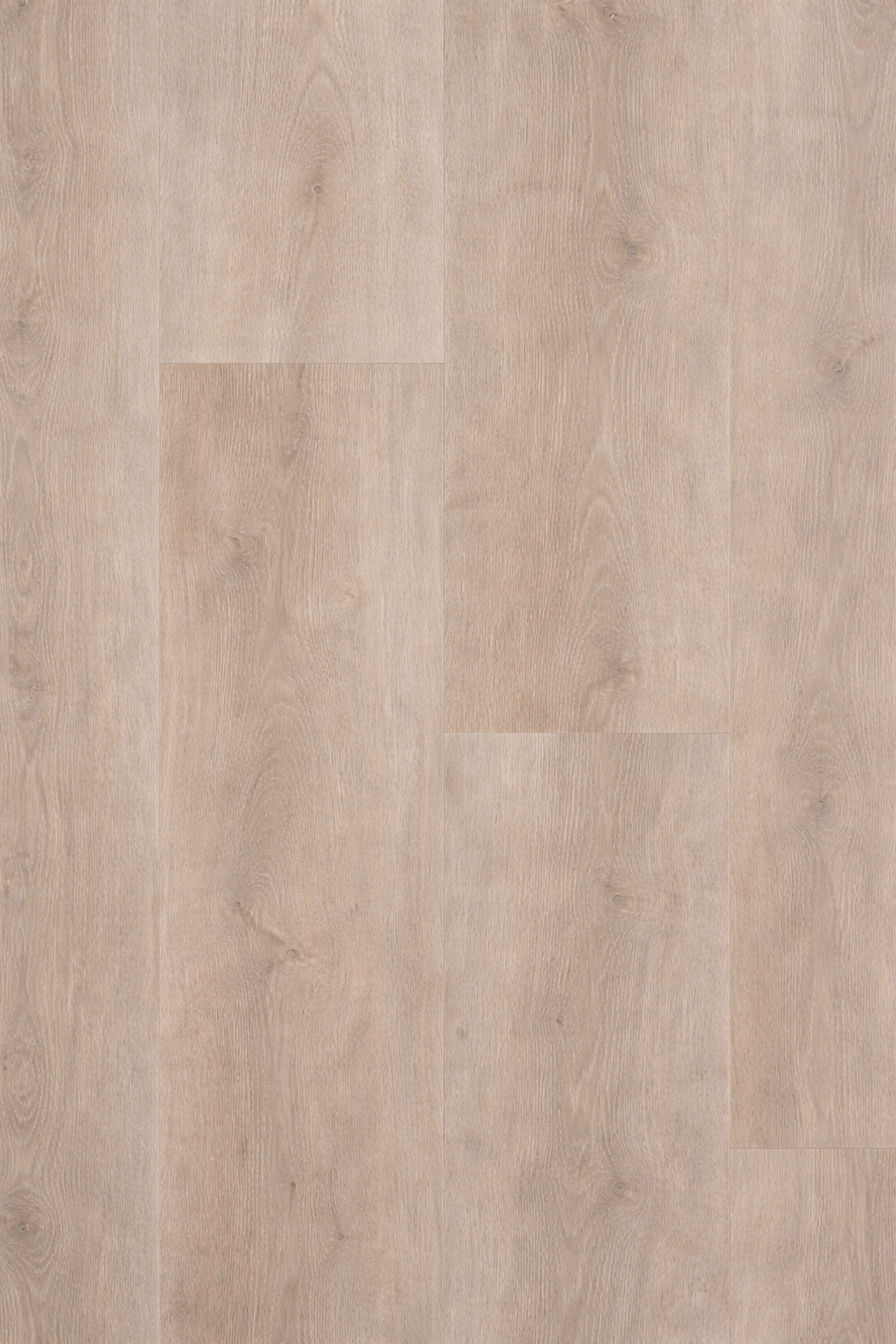 Sapwood (AD-17)