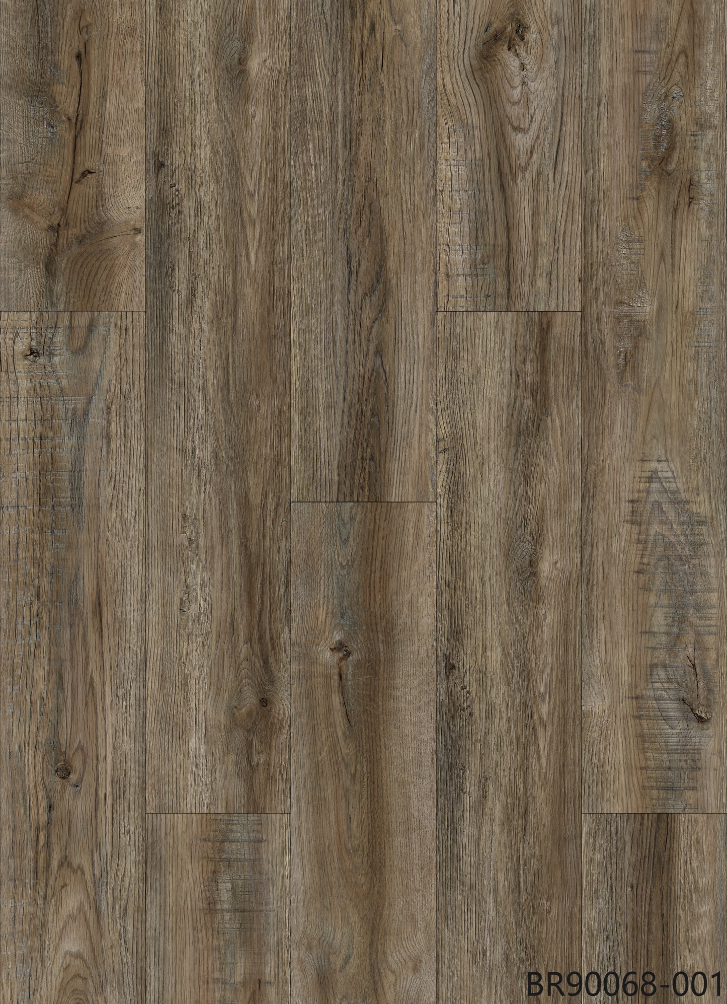 Algonquin Timberline (KD-03)