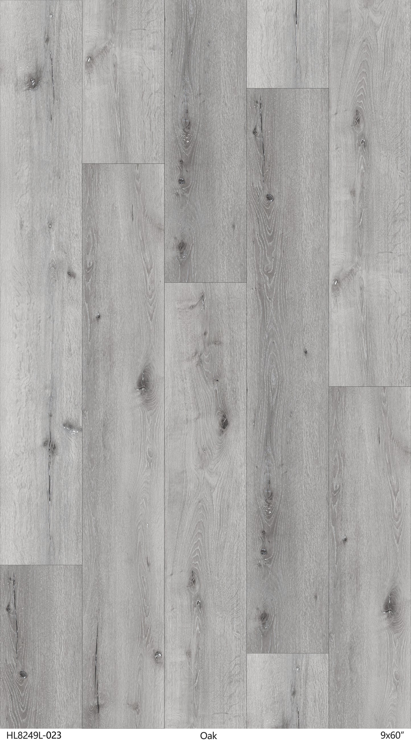 Vancouver Island Driftwood (KD-05)