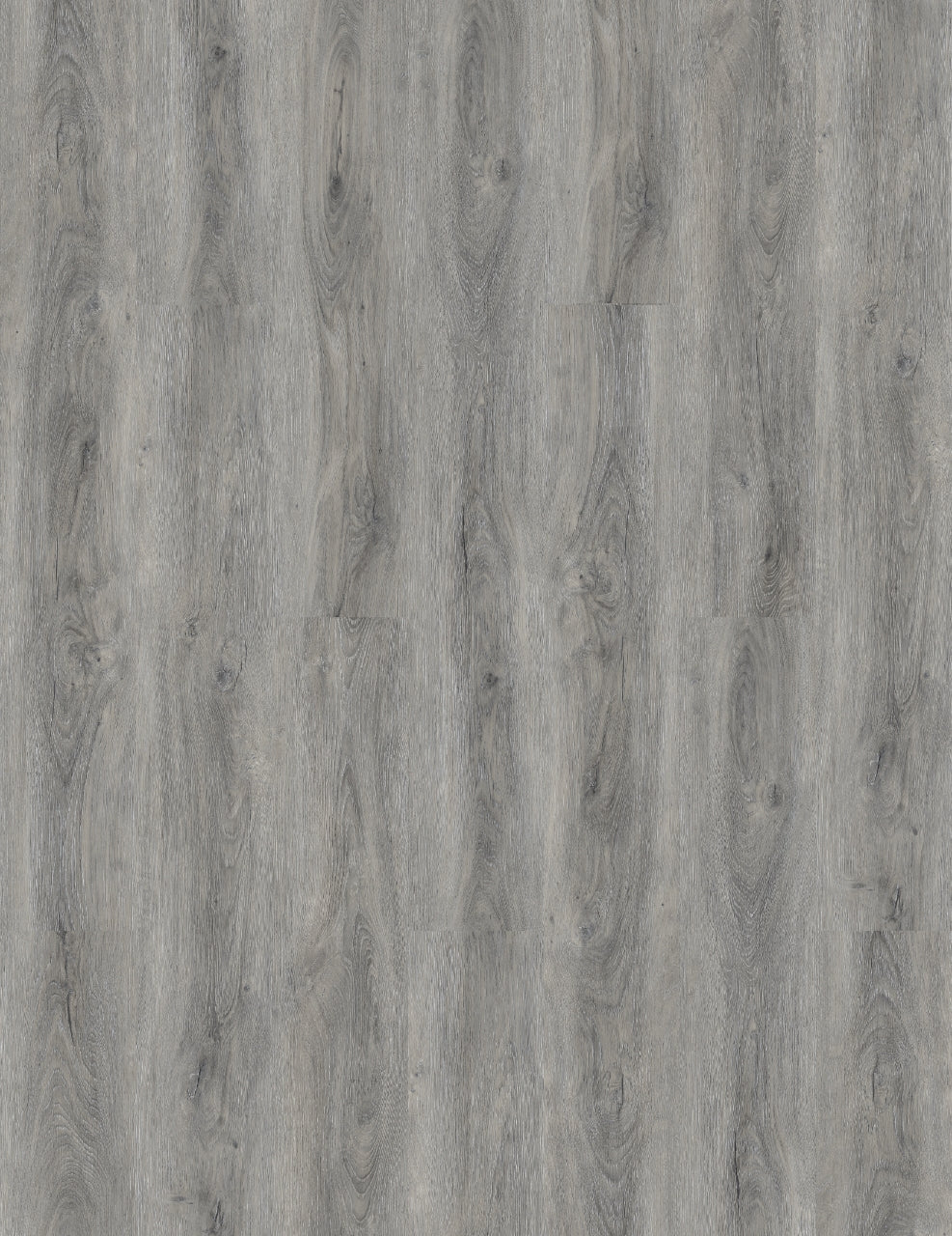 Ashen Oak (AD-11)