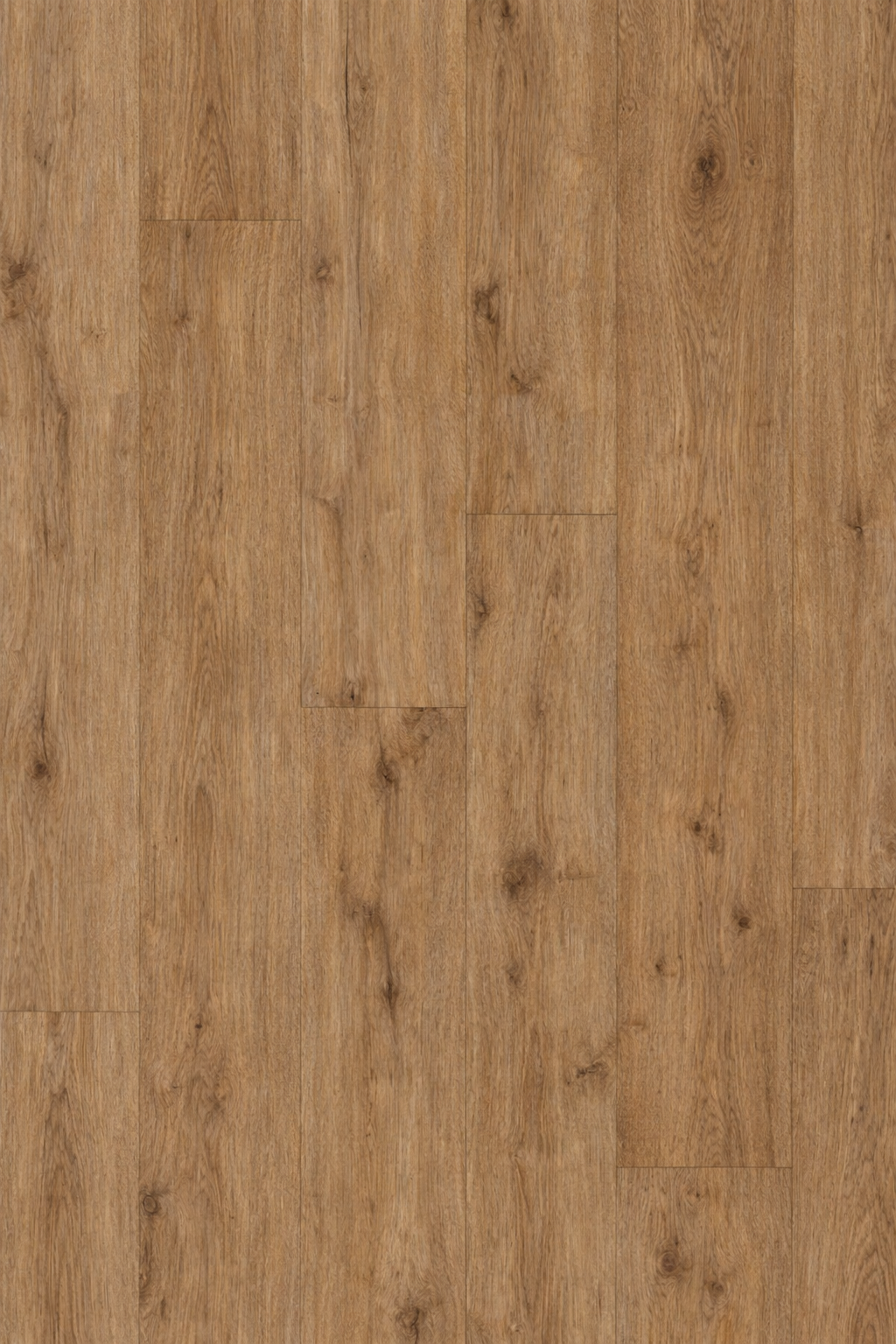 Muskoka Shoreline Oak (KD-01)