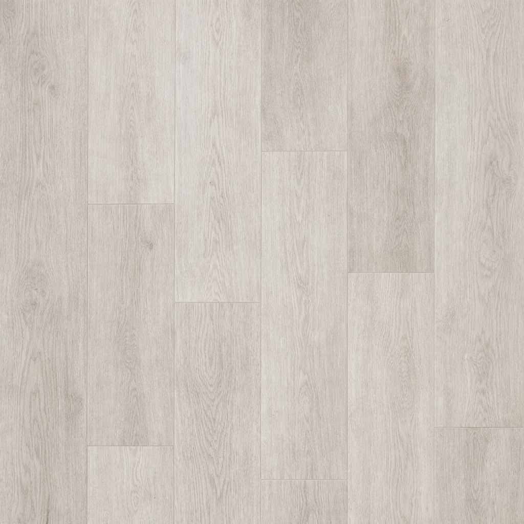 Silver Maple (AD-01)