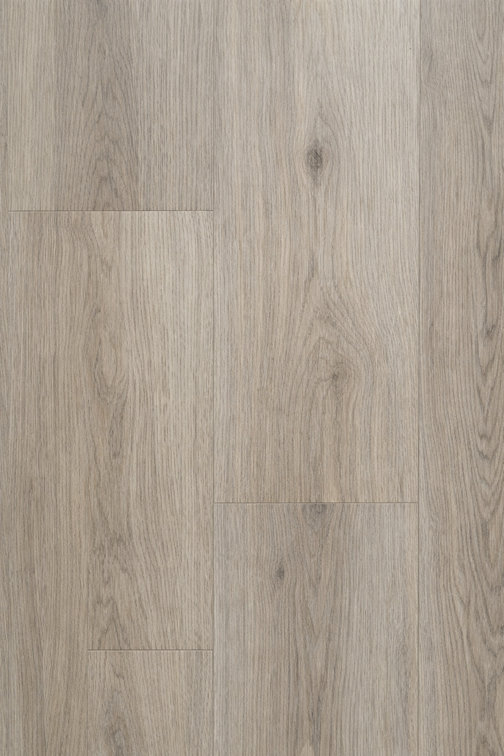 Blonde Oak (AD-13)