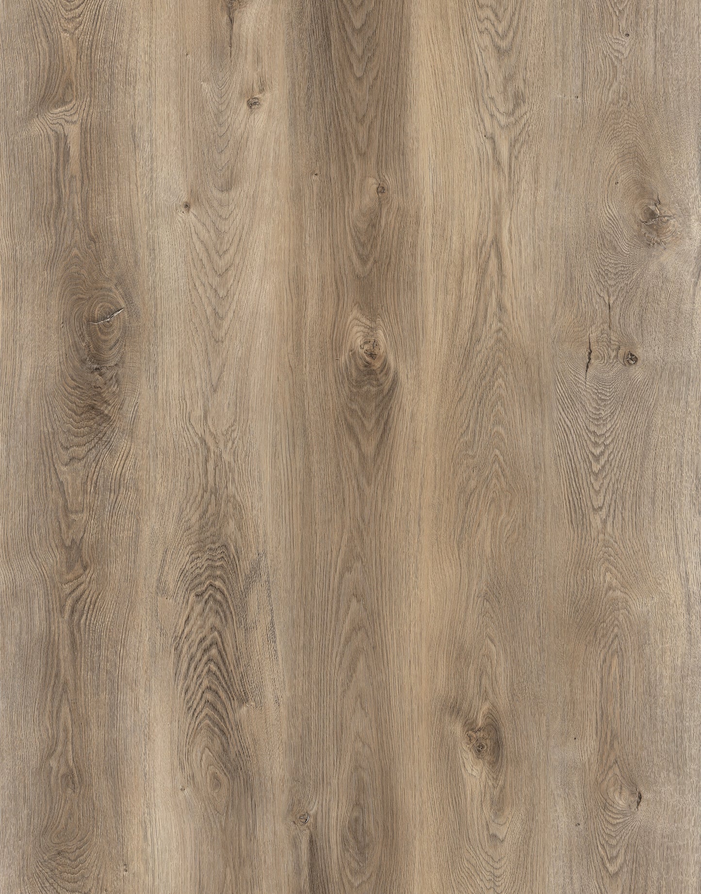 North Bay Wheat (KD-09)