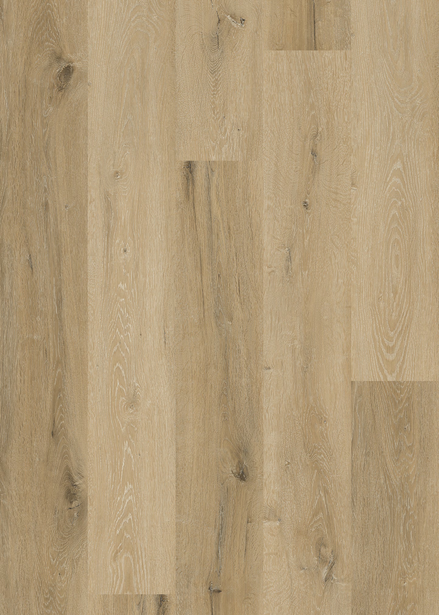 European White Oak