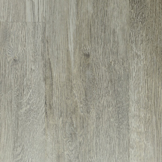 Platinum Oak
